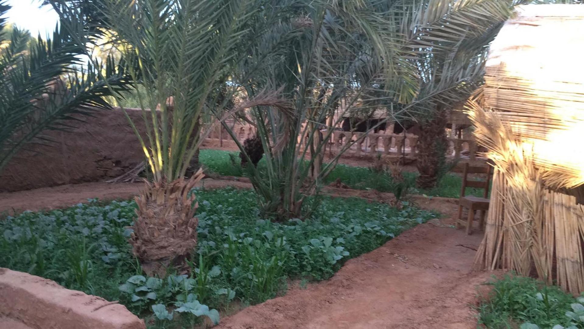 Auberge La Palmeraie M'Hamid El Ghizlane Exterior foto